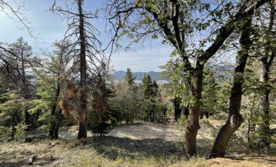 Hiking Town Trail at Snow Summit