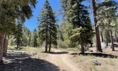 Hiking Sand Canyon Trail in Upper Moonridge